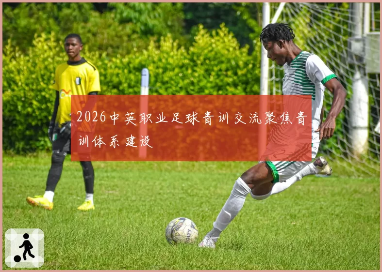 2026中英职业足球青训交流聚焦青训体系建设