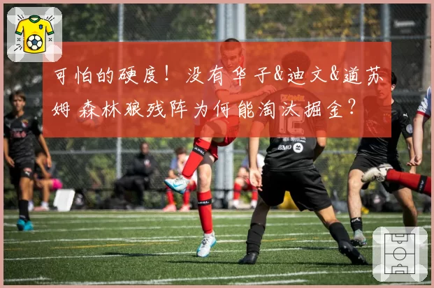 可怕的硬度！没有华子&迪文&道苏姆 森林狼残阵为何能淘汰掘金？