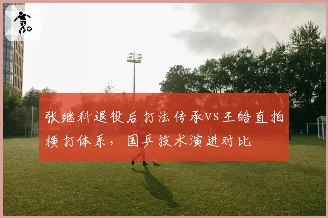 张继科退役后打法传承vs王皓直拍横打体系，国乒技术演进对比